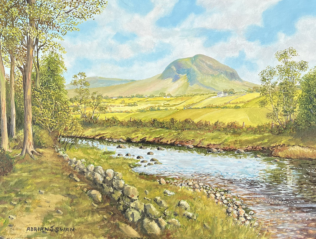 River Braid Near Slemish