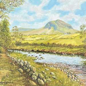 River Braid Near Slemish