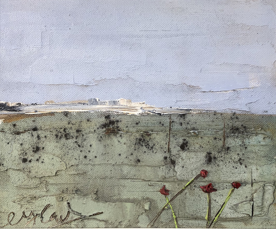 North Coast Poppies