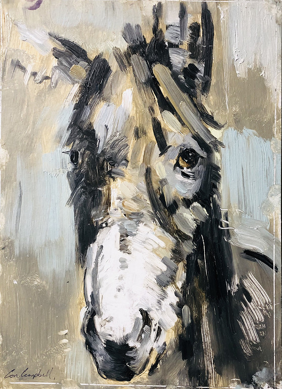 The Donkey