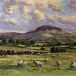 Sheep at Slemish