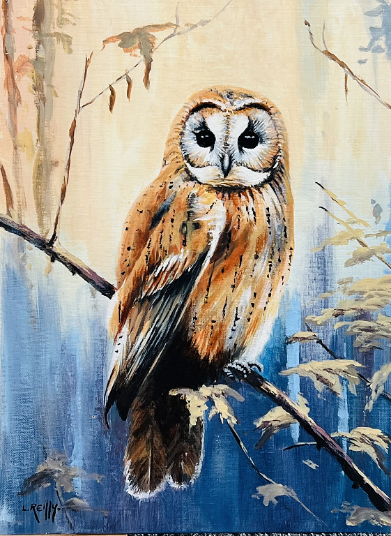The Owl