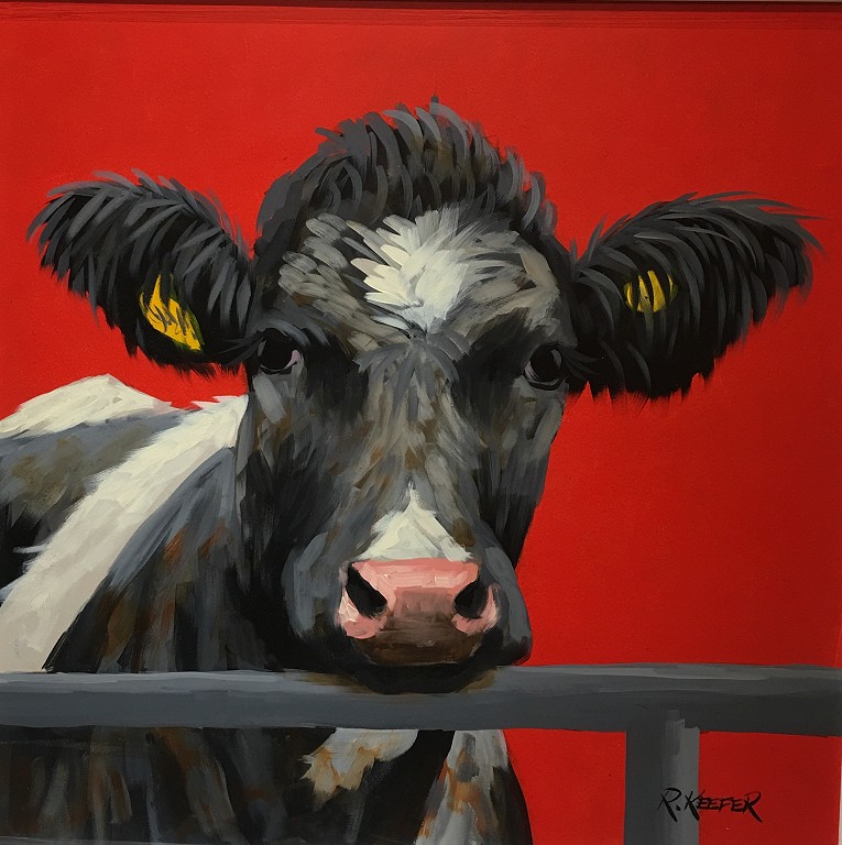 Friesian on red