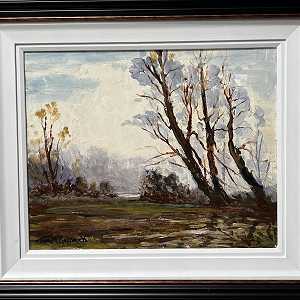 Winter Trees near kilrea