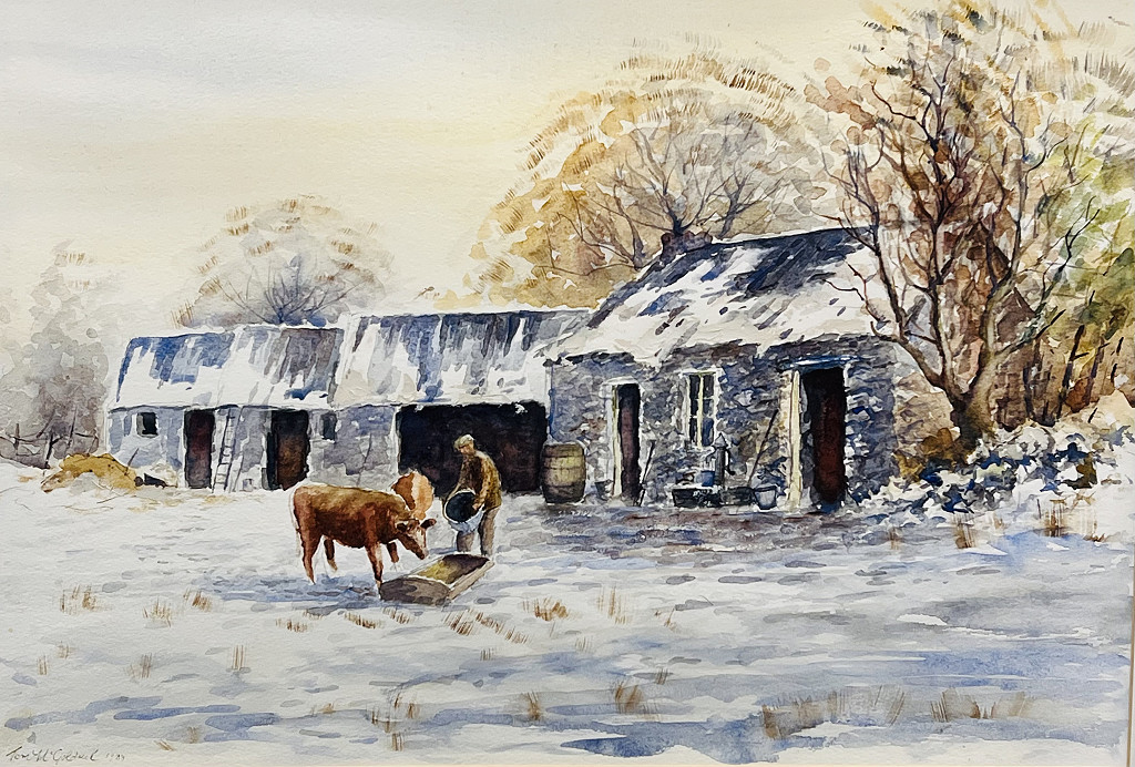Feeding Cattle Near Rasharkin